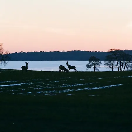 Poganty - Jalownik * Gizycko