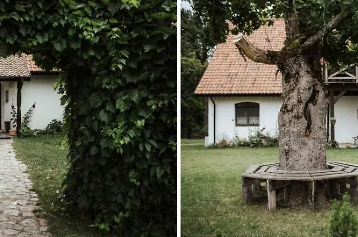 Country house Poganty - Jalownik *