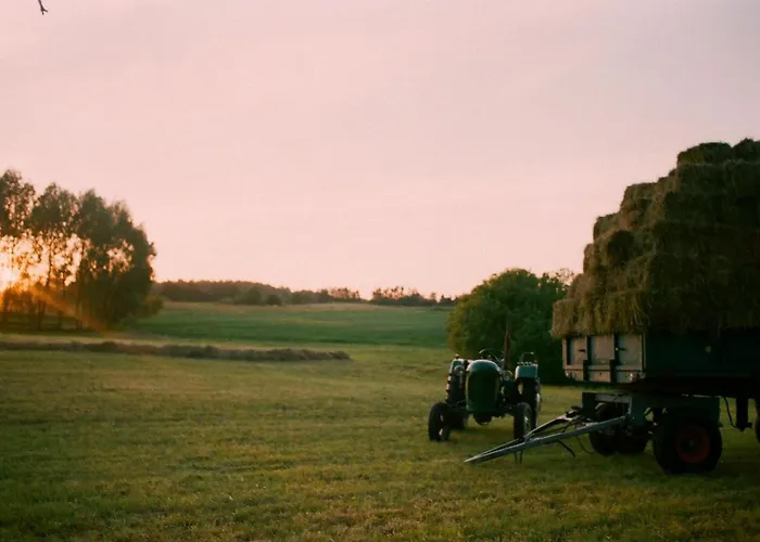 Poganty - Jalownik *